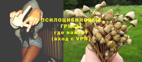дмт Дмитровск