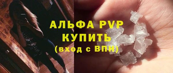 прущие грибы Заволжск