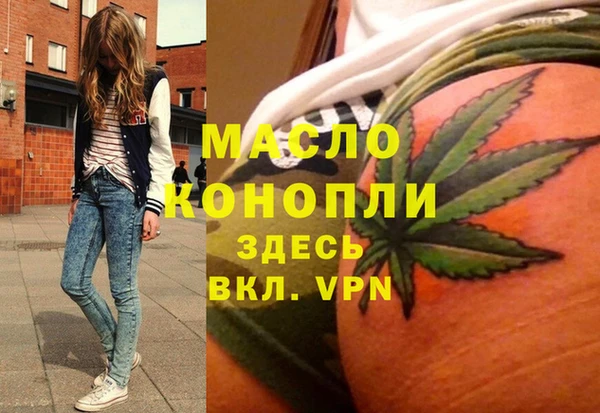 дмт Дмитровск