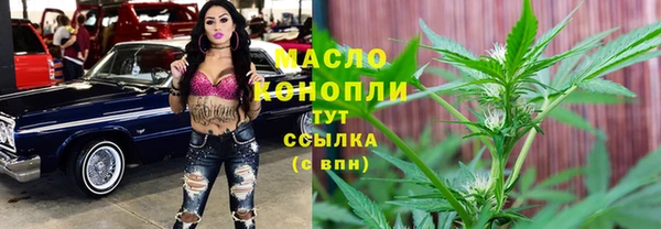 спайс Дмитриев